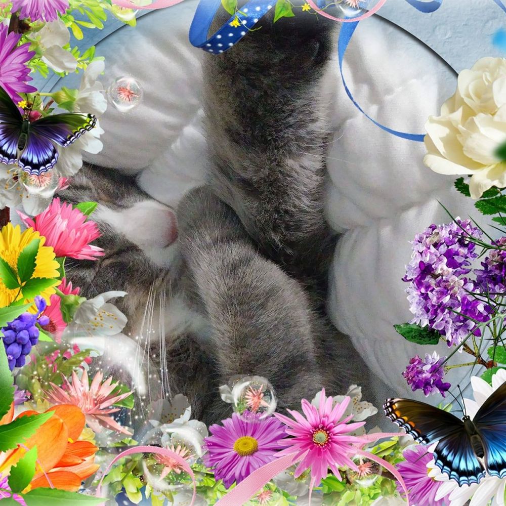 Meet your Posher, Wendy